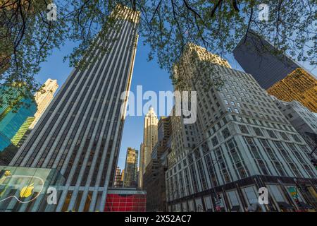 Belle vue de bas en haut à travers les branches des arbres jusqu'aux gratte-ciel de Manhattan sur fond de ciel bleu. New York. ÉTATS-UNIS. Banque D'Images