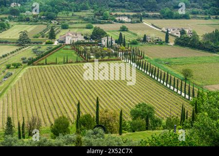 Vue panoramique sur la vallée du Luberon avec vignes et cyprès dans le sud de la France Banque D'Images