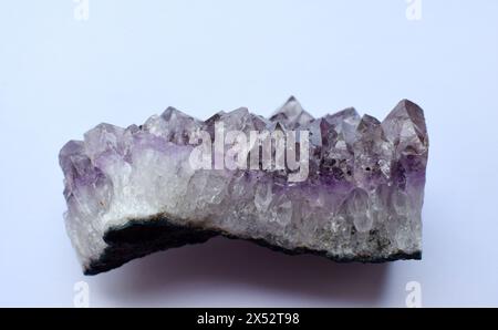 Belle druse d'améthyste minérale violette naturelle sur fond blanc. Cristaux de chakra cicatrisants. Banque D'Images