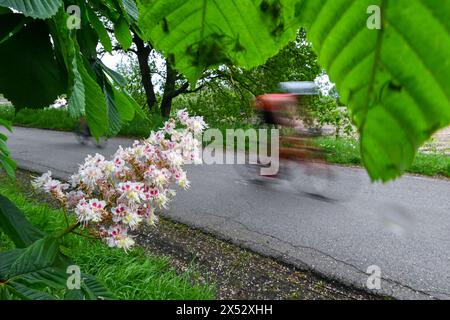 Viersel, Belgique. 04 mai 2024. Course de vélo photographiée lors d'un Triatlon à Viersel, le samedi 4 mai 2024 à Viersel, Belgique . Crédit : Sportpix/Alamy Live News Banque D'Images