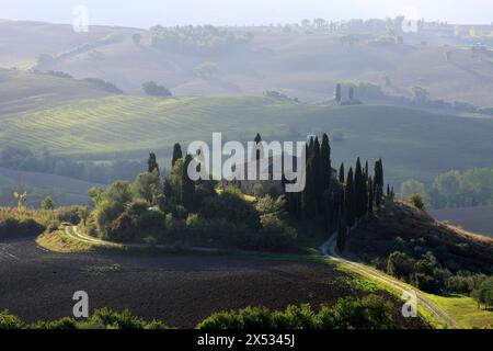 Une maison isolée entourée de cyprès sur une colline en Toscane dans la lumière du matin, Italie, Toscane, Podere Belvedere, Val d'Orcia, Pienza, Sienne Banque D'Images