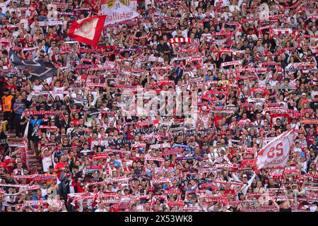 Leipzig, Allemagne. 27 avril 2024. firo : 27.04.2024, football, football, 1.Ligue, 1.Bundesliga, saison 2023/2024, RB, Red Bull Leipzig - BVB, Borussia Dortmund 4:1 fans Leipzig crédit : dpa/Alamy Live News Banque D'Images