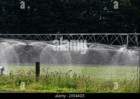 Les têtes de pulvérisation d'un système d'irrigation pulvérisent de l'eau à travers le paddock. Banque D'Images