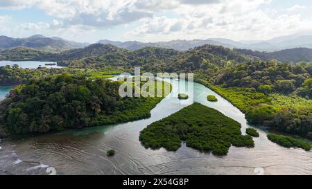 Paysage de drone de la plage paradisiaque des Caraïbes et des mangroves Banque D'Images