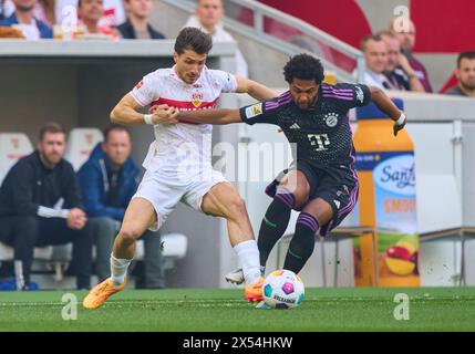 Leonidas Stergiou VFB 20 Competition for the ball, tackling, duel, header, zweikampf, action, lutte contre Serge GNABRY, FCB 7 dans le match VFB STUTTGART - FC BAYERN MUENCHEN 3-1 le 4 mai 2024 à Stuttgart, Allemagne. Saison 2023/2024, 1.Bundesliga, journée 32, 32.Spieltag, Muenchen, Munich photographe : ddp images / STAR-images - LA RÉGLEMENTATION DFL INTERDIT TOUTE UTILISATION DE PHOTOGRAPHIES comme SÉQUENCES D'IMAGES et/ou QUASI-VIDÉO - Banque D'Images