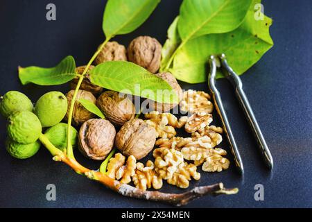 Noix (Juglans regia), noix non mûres, mûres et craquelées avec casse-noix Banque D'Images