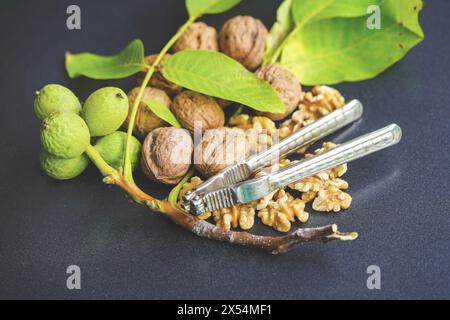 Noix (Juglans regia), noix non mûres, mûres et craquelées avec casse-noix Banque D'Images