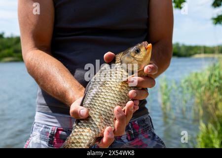 Pêcheur tenant le poisson de la carpe prussienne dans les mains sur le lac dans la nature Banque D'Images