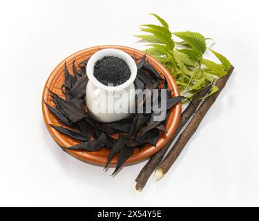 Neem Datun, poudre de dent noire avec feuilles de Neem, bâton de Neem et feuilles de Neem grillées sur fond blanc. En bengali Dater Majon, Kalo Nimer Majon. it Banque D'Images