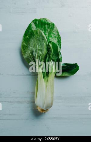 vue en angle élevé d'un bok choy frais sur une surface en bois blanc éclaboussée d'eau Banque D'Images