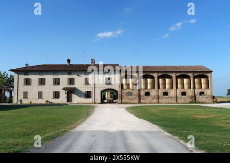 Paysage de campagne près de Cortemaggiore, dans la province de Piacenza, Emilie Romagne, Italie, en été Banque D'Images
