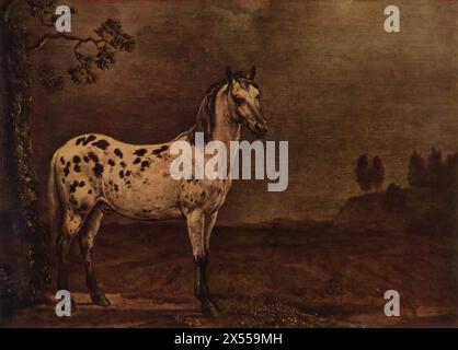 Le cheval Blanc de Paulus Potter, peint en 1653, conservé au Musée du Louvre, Paris, France. Cette peinture est connue pour sa représentation réaliste d'un cheval blanc solitaire dans un paysage luxuriant. Réputé pour sa précision et son style naturaliste, Potter obtient son statut de peintre animalier de premier plan de l'âge d'or néerlandais. Banque D'Images