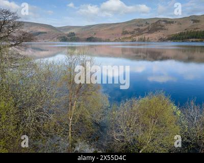 Réservoir Haweswater dans le district des lacs anglais Cumbria Banque D'Images