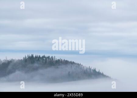 Bulverton Hill dans la brume matinale, Sidmouth, Devon, Angleterre. Hiver (janvier) 2023. Banque D'Images