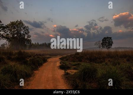 une route de sable rouge mène dans le paysage de la réserve de tigres de kanha au lever du soleil avec une faible brume sur la prairie et des nuages ensoleillés Banque D'Images