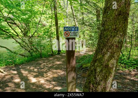 Grand panneau sur un poteau en bois disant ne pas remarquer de chevaux au-delà de ce point avec un symbole sur un sentier le long d'un ruisseau dans la forêt dans une zone ombragée sur un ensoleillé Banque D'Images