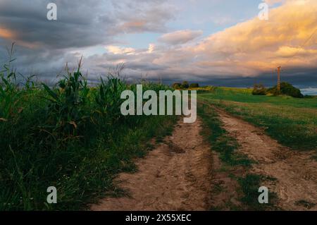 Découvrez la beauté enchanteresse du crépuscule tandis que le soleil plonge sous l'horizon, illuminant un chemin de terre pittoresque sillonnant un paysage serein Banque D'Images