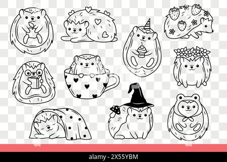 Hérissons mignons avec des épines pointues sur le dos, se reposer ou cueillir des champignons et des baies. Ensemble de hérissons lisant des livres ou célébrant l'anniversaire et mangeant la pomme pour le petit déjeuner. Gribouille dessinée à la main Illustration de Vecteur