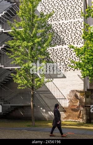 Arbre Ginkgo à l'arrière du musée d'art diocésain Kolumba dans la ville, escalier d'évacuation extérieur, architecte Peter Zumthor, Cologne, Allemagne. Gin Banque D'Images