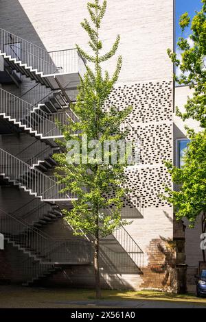 Arbre Ginkgo à l'arrière du musée d'art diocésain Kolumba dans la ville, escalier d'évacuation extérieur, architecte Peter Zumthor, Cologne, Allemagne. Gin Banque D'Images