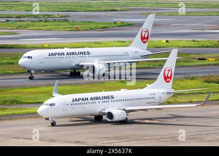 Japan Airlines JAL Boeing 737-800 und Boeing 767-300ER Flugzeuge Flughafen Tokyo Haneda au Japon Tokio, Japon - 25. Septembre 2023 : Boeing 737-800 et Boeing 767-300ER Flugzeuge der Japan Airlines JAL auf dem Flughafen Tokyo Haneda HND au Japon. *** Japan Airlines JAL Boeing 737 800 et Boeing 767 300ER Aéroport Tokyo Haneda au Japon Tokyo, Japon 25 septembre 2023 Japan Airlines Boeing 737 800 et Boeing 767 300ER à l'aéroport Tokyo Haneda HND au Japon Banque D'Images