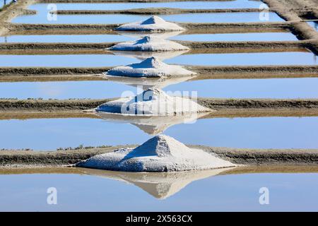 Le sel de mer, sel, Saline, Guerande, Loire-Atlantique, France. Banque D'Images