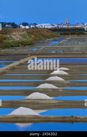 Le sel de mer, sel, Saline, Guerande, Loire-Atlantique, France. Banque D'Images