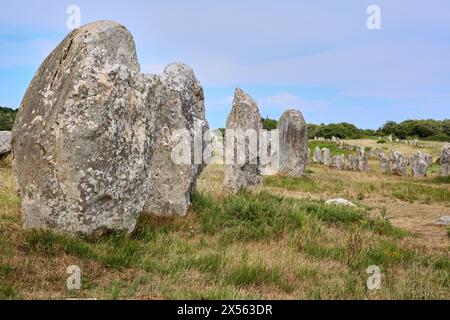 Les alignements mégalithiques de menhirs de Kermario et Menec, Carnac, Morbihan, Bretagne, Bretagne, France Banque D'Images