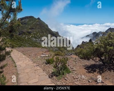 Sentier pavé, sentier de randonnée PR1.2 de Achada do Teixeira à la montagne Pico Ruivo, le plus haut sommet de Madère, Portugal Banque D'Images