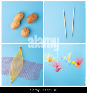 Tutoriel oiseau artisanal d'été, facile pour les enfants, bricolage, fabriqué à partir d'arachides et de filets végétariens, concept de recyclage Banque D'Images