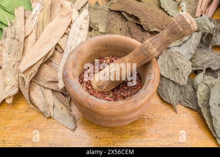 Vieux pilon en bois et mortier entouré d'herbes séchées sur un établi de plan de travail. Vieille scène apothicaire ou thème herboriste, et préparation de médecine. Banque D'Images