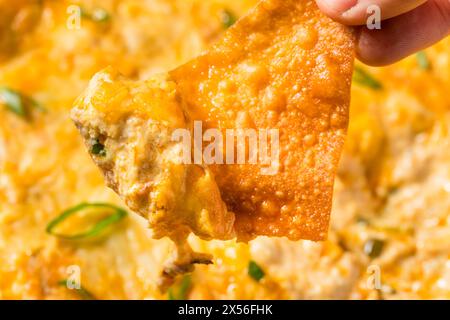 Trempette chaude au crabe au fromage Rangoon avec chips Wonton Banque D'Images