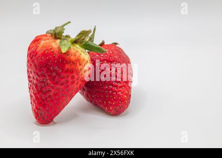 sain délicieux juteux sucré rouge fraises fond blanc arrangé Banque D'Images