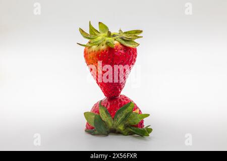 sain délicieux juteux sucré rouge fraises fond blanc arrangé Banque D'Images