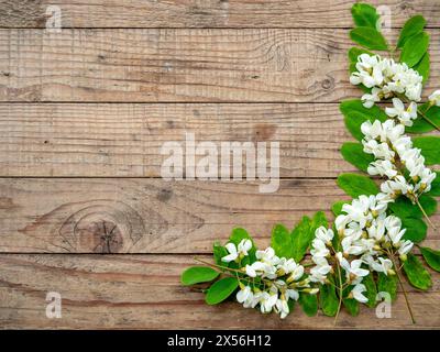 cadre fait de fleurs d'acacia et de feuilles sur fond en bois avec espace de copie Banque D'Images