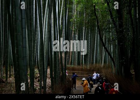 Vie quotidienne au Japon Un chemin de forêt de bambous à Arashiyama, Kyoto, visité par des touristes étrangers Banque D'Images