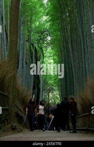 Vie quotidienne au Japon Un chemin de forêt de bambous à Arashiyama, Kyoto, visité par des touristes étrangers Banque D'Images