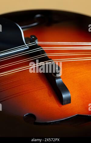 Mandoline acoustique de style a avec trous F. Un instrument populaire de musique folklorique à 8 cordes. Banque D'Images