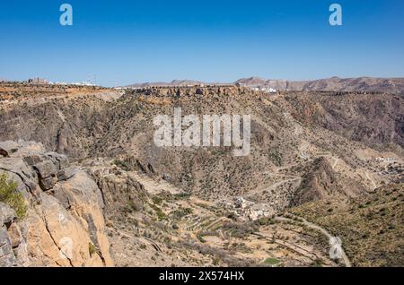 Champs agricoles en terrasse, Al Ain, Jebel Akhdar, Oman Banque D'Images