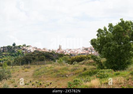 Vue de Fermoselle de loin. Zamora, Espagne. A proximité se trouve le plus grand parc naturel de Castille et Léon, le parc naturel d'Arribes del Duero, au th Banque D'Images