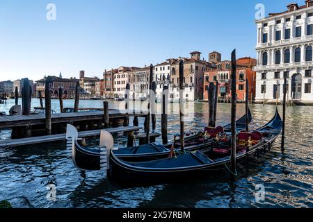 Gondoles à la jetée sur le Grand canal, Venise, Vénétie, Italie Banque D'Images