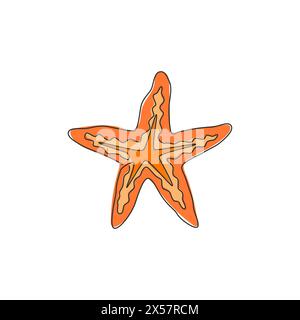 Un dessin simple ligne de beauté Sea star pour l'identité du logo. Concept de mascotte Starfish pour icône d'animal asteroidea. Conception moderne de dessin en ligne continue v Illustration de Vecteur