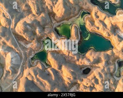 Lacs verts entre collines dorées avec route de gravier, plan de haut en bas, vue aérienne, montagnes TRANS Alay, montagnes Pamir, province d'Osher, Kirghizistan Banque D'Images