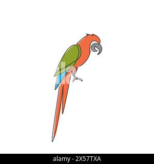 Dessin en ligne continue simple d'oiseau perroquet adorable mignon avec longue queue pour l'identité du logo. Concept de mascotte d'animal de plume d'aile pour icône de zoo national Illustration de Vecteur