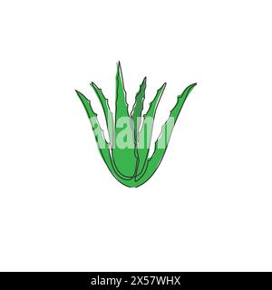 Dessin en ligne continue unique d'aloe vera vert biologique sain pour l'identité du logo de la ferme. Concept de plante succulente tropicale fraîche pour icône agricole Illustration de Vecteur