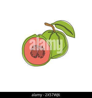 Une seule ligne continue dessinant la goyave biologique saine entière et demi-tranchée pour l'identité du logo du verger. Concept de fruits frais pour icône de jardin. Moderne Illustration de Vecteur