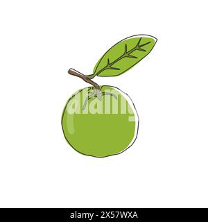 Une ligne continue dessinant toute la goyave biologique saine Java pour l'identité du logo du verger. Concept de fruitage exotique frais pour icône de jardin de fruits. Si moderne Illustration de Vecteur