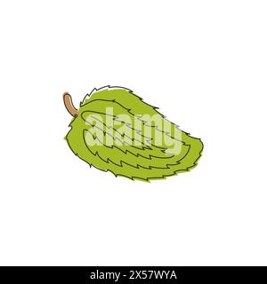 Dessin en ligne continue unique de soursop organique sain entier pour l'identité du logo du verger. Concept de fruitage d'été frais pour icône de jardin de fruits. Moderne Illustration de Vecteur