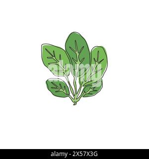 Dessin en ligne continue unique de feuilles entières d'épinards verts biologiques sains pour l'identité du logo de la ferme. Concept de floraison vert feuillu frais pour ico de plante Illustration de Vecteur