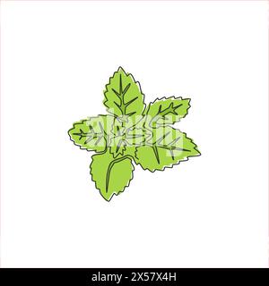 Dessin en ligne continue unique de feuilles de menthe biologique saines pour l'identité du logo de la ferme. Concept de plante mentha fraîche pour l'icône de plantation. Une ligne moderne Illustration de Vecteur